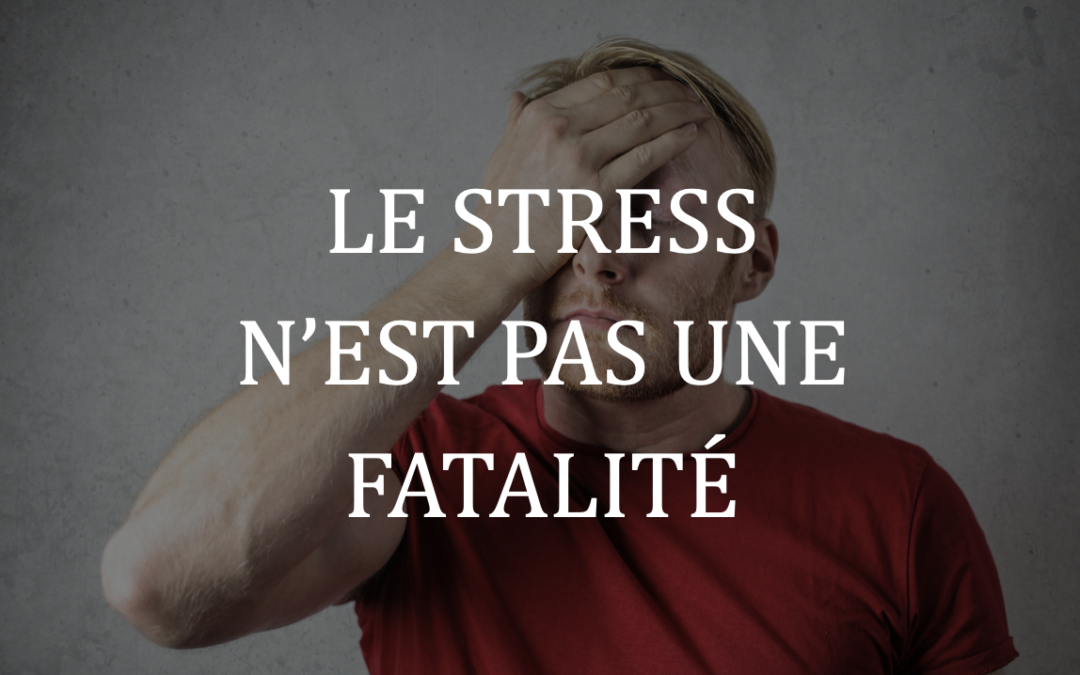 Le stress n’est pas une fatalité : dompter le stress au travail en 5 actions clés !